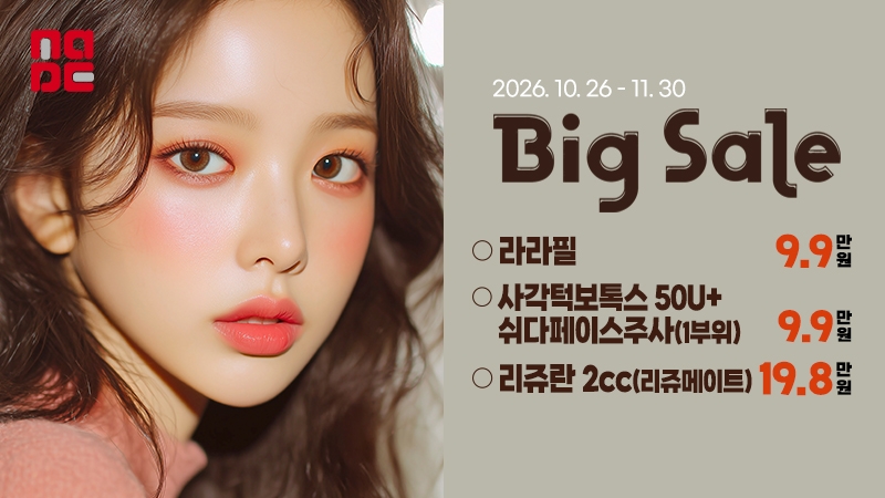 11월 Big Sale